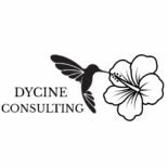 logo dycine consulting Cyndie appel d'offres